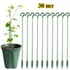 Garden Plant Support Stakes 27cm 30 Pieces Plastic Plant Clips for Bonsai Orchid Flower Stem Support