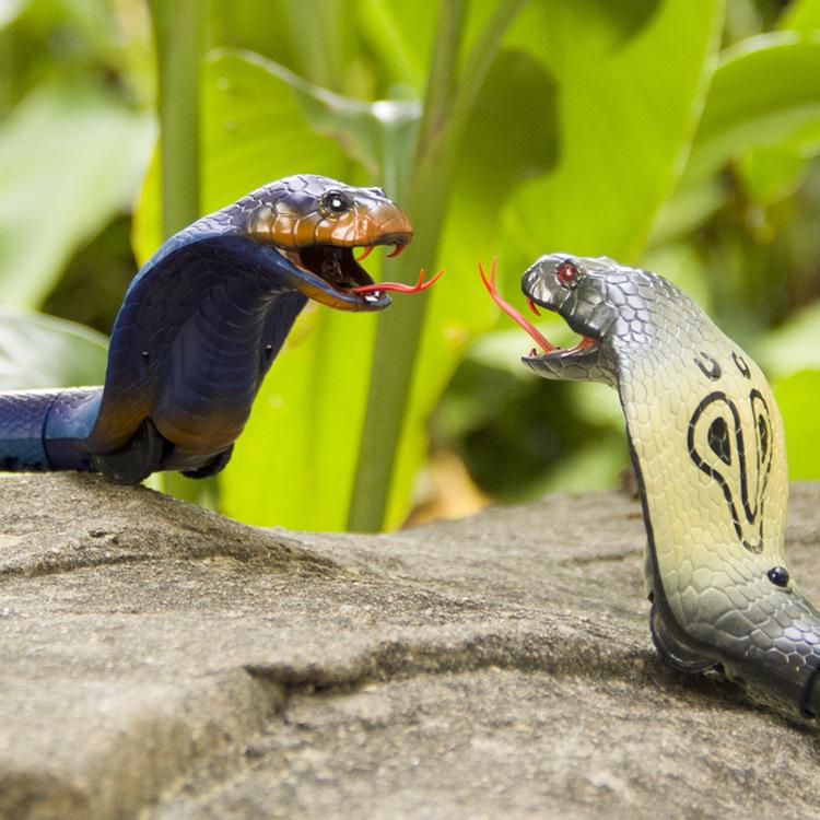 Realistic Remote Control Rattlesnake Toy: King Cobra Experience