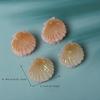 2pack Hair Clip Shell Small Hair Claw for Women Girls Butterfly  Acrylic Fashion Crab for Hair Clamps Hair Accessories