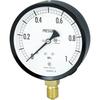 Nagano Standard Pressure Gauge (A-frame, Vertical, 100, G3/8B, 0.0 To 1.60 MPa) AE20-131-1.6MP