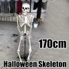 Halloween Skeleton Prop Human Full Size  Hand Life Body Anatomy Model Decor