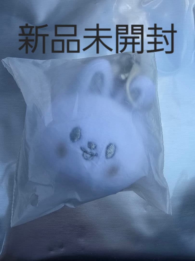 

[USED] SKZOO FACE KEYRING SILVER Ver. Levit