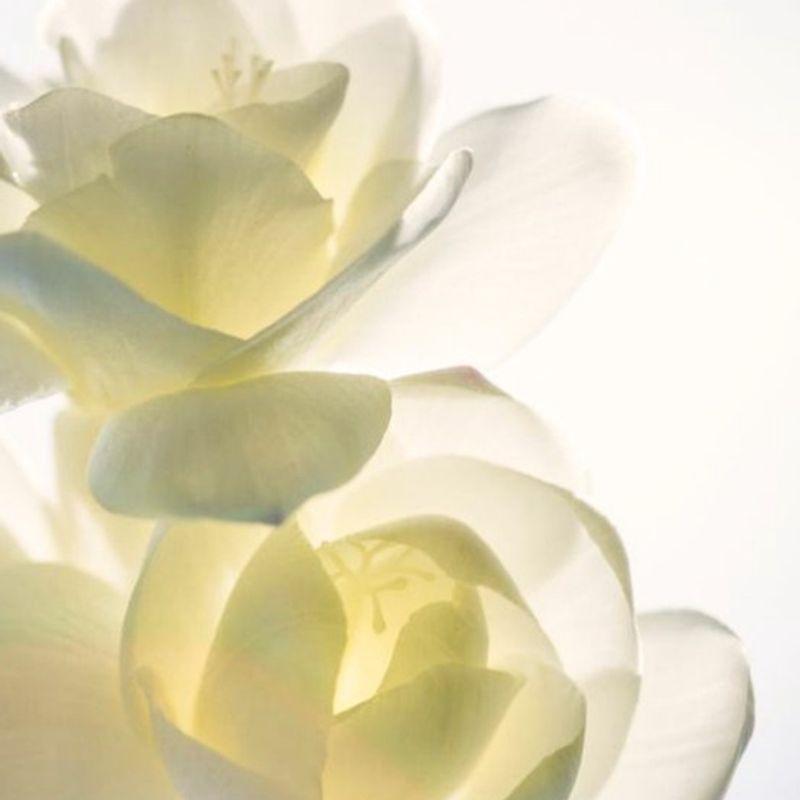 Soy Biome Scalp Balancing Shampoo 480ml & Treatment 250ml