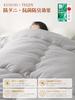 Kumori All Antibacterial Deodorizing Medium Heat Can Be Used All Year Gray 150X210cm Comforter, Single, Seasons, Lightweight, Washable, "TEIJIN