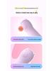Lelala Love Egg: 10-Mode USB Rechargeable Internal Vibrator for Women