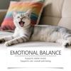 The Cat's Calming Plug-in Diffuser Reduces Pressure  Soothed Behavior  And Maintained Emotional Balance And Stability 45ML