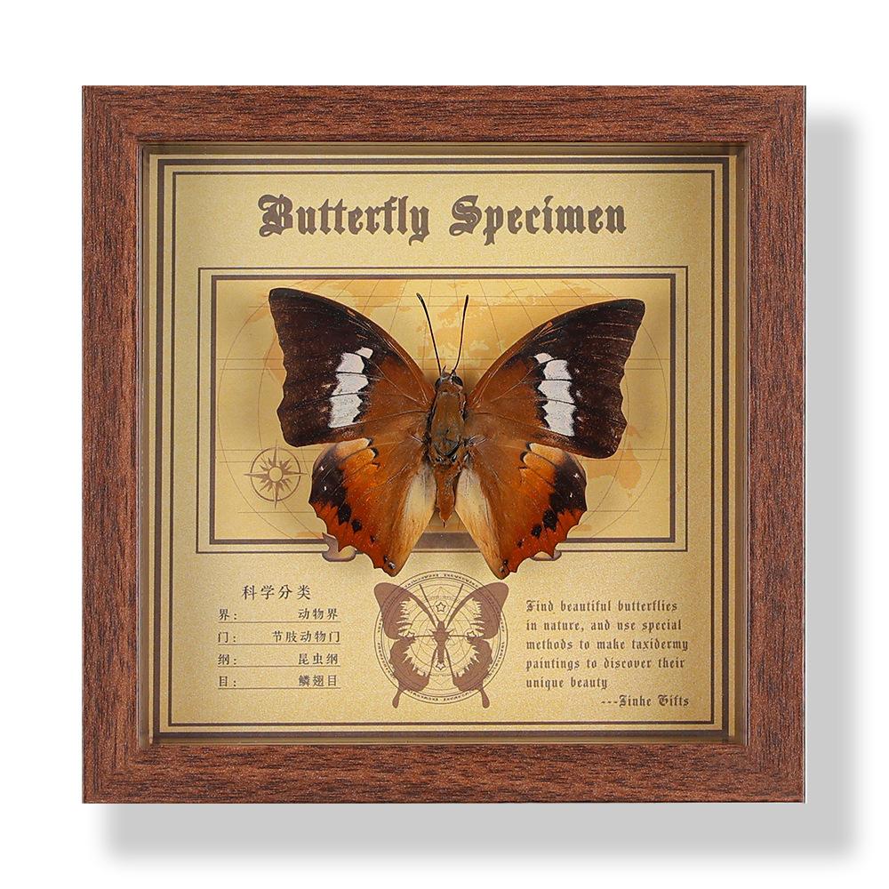 Real butterfly specimen photo frame, decorative painting, 3D ornament, handmade DIY, birthday gift, insect specimen