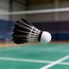 Black Feather Badminton Birdie With Foam Head For Training And Recreation