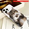 2DFlat Heart-Shaped Paws Cat Portrait Phone Case All inclusive film hard iPhone case, compatible with iPhone 18 Pro Max 17 16 15 14 13 12 11