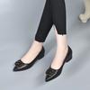 Fashion Women's Fashion Thin Heel Shoes Autumn New Shallow Mouth Pointed Head Metal Buckle Slip-on Wear-resistant High Heels