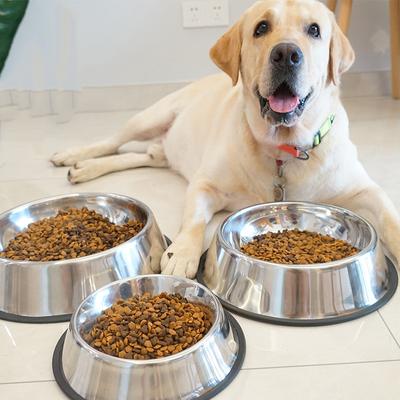 Köpek – Köpek Besleme ve Sulama Malzemeleri