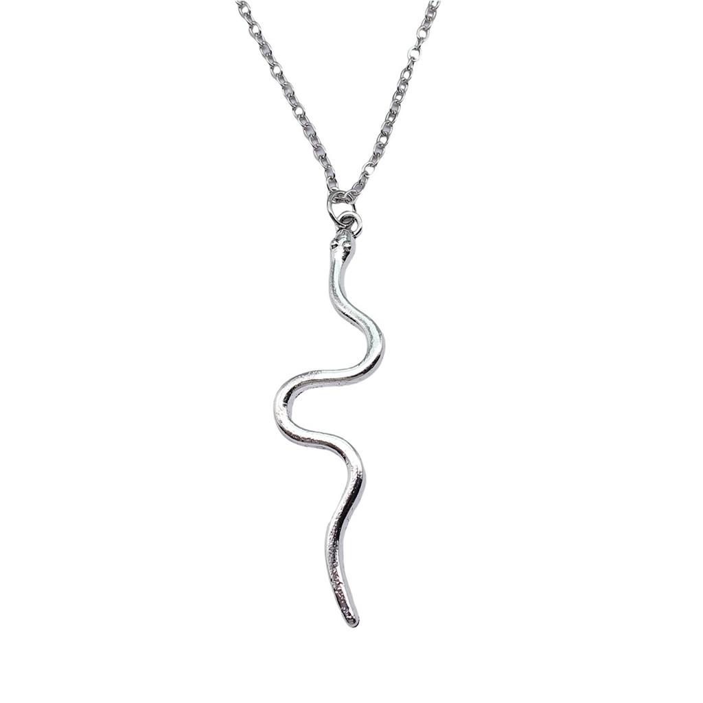 Snake Charm Necklace Dragon Minimalist Serpent Pendant For Women Grunge Aesthetic Jewelry 43cm Chain