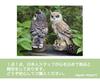 M Pro Owl Figurine, Garden Ornament, Feng Shui, Good Luck Charm, Crow Repellent, Gardening (Beige)
