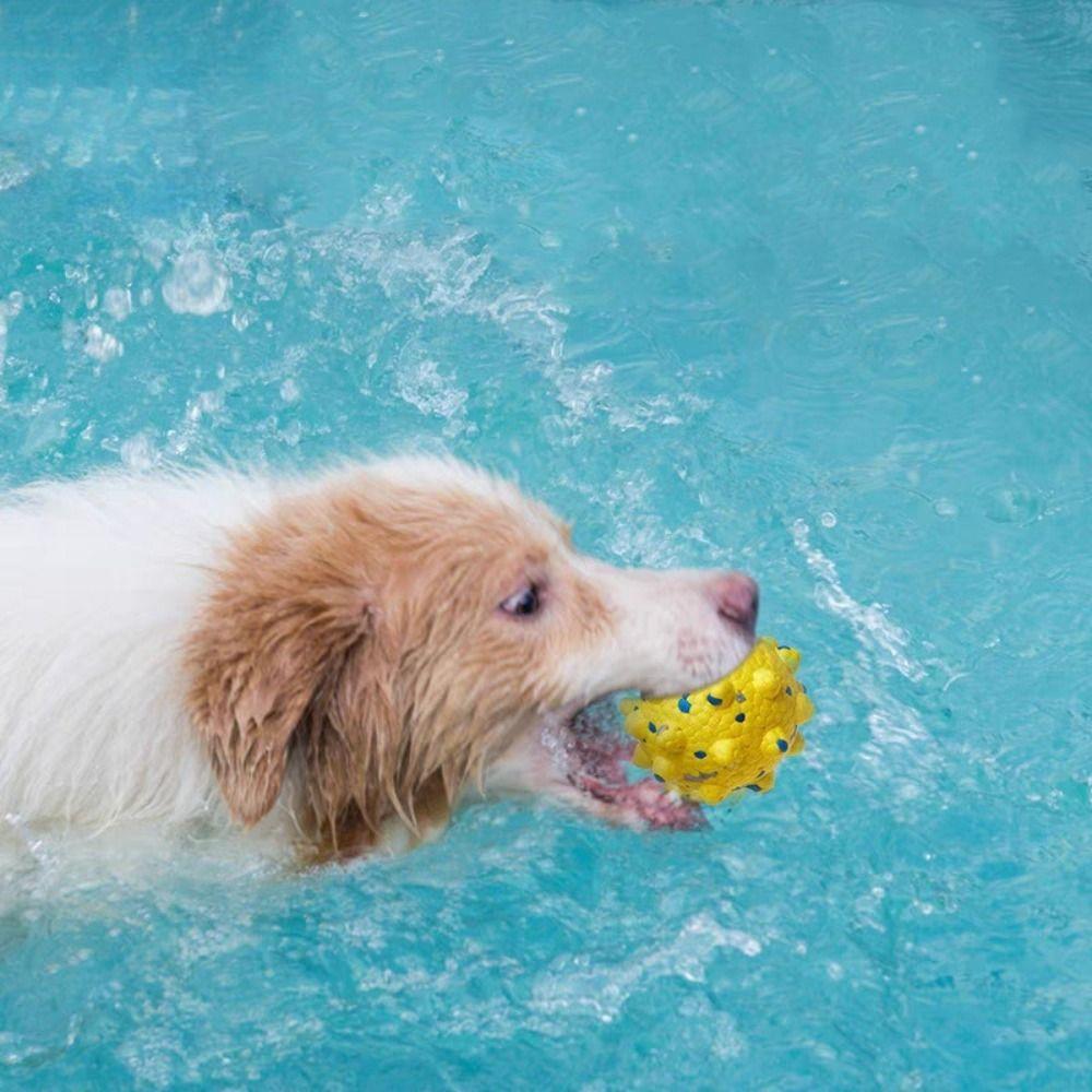 Durable Pet Toy Ball High Elasticity Dogs Bouncing Ball Toy Pet Supplies Dog Chew Toy  Puppy