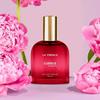 La French Cuddle Perfume Scent For Women 30 Ml | Premium Luxury | Long Lasting | Eau De Parfum | Signature Scent