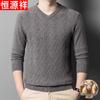 Hengyuanxiang Men's 100% Wool V-Neck Sweater