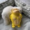 Orangutan Squeeze Vent Gorilla Yellow Soft Glue Gorilla Toys Squeezing Monkey Toys  Children Toys