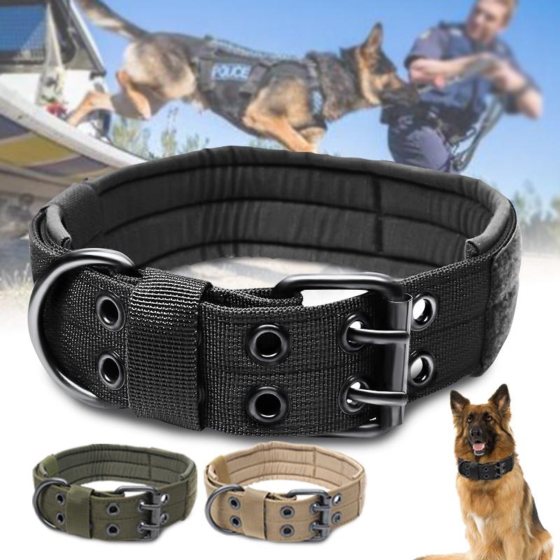 dog training belt