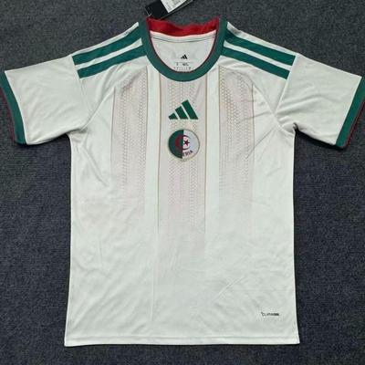 Algeria 2026 World Cup Jersey Fan Version Same Style Soccer Shirt