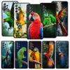 Parrot Bird Phone Case For Samsung Galaxy A17 A07 A55 A35 A25 A15 A05s A33 5G A31 A23 A21s A13 A41 A73 A53 A51 A71 A03s S10Cover