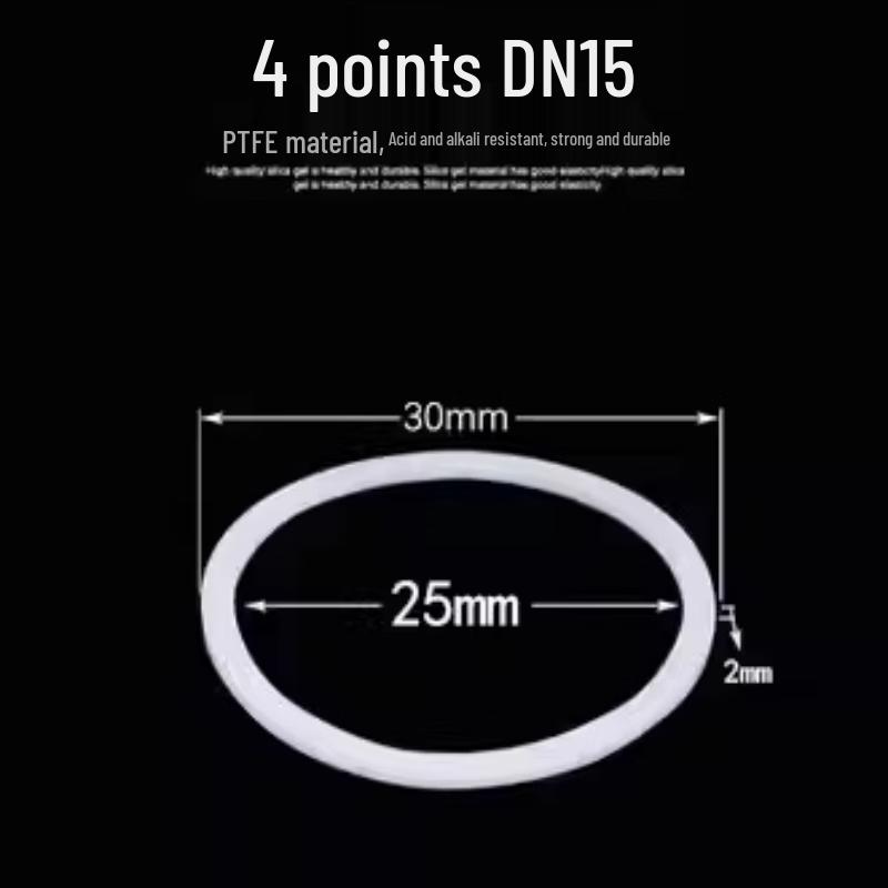 Ruitai Stainless Steel Union Gasket with PTFE Seal CN plug (adapter included)