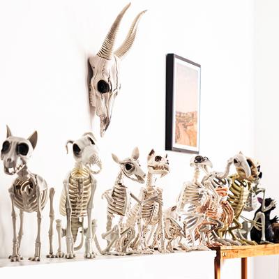 Cadılar Bayramı İskelet Hayvan Dekorasyonu Ürkütücü Kedi/Köpek/Kuş/Sıçan/Keçi Kafası Plastik Kemikler Avlu Mezarlık Cadılar Bayramı Dekoru