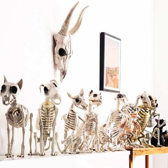 Halloween Skeleton Animal Decoration Creepy Cat/Dog/Bird/Rat/Goat Head Plastic Bones for Courtyard Graveyard Halloween Decor