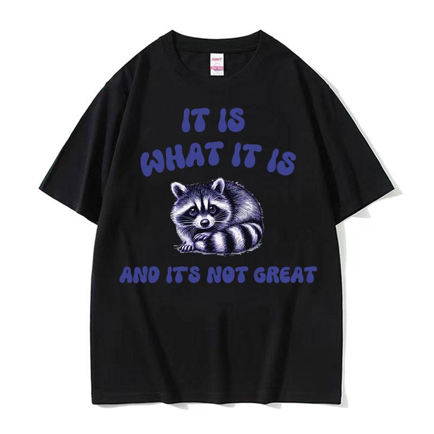 My Pain Is Chronic But This Ass Is Iconic Tee Shirt Funny Raccoon Meme T Shirt Mens Womens Vintage Kawaii Couples Tshirt Tops