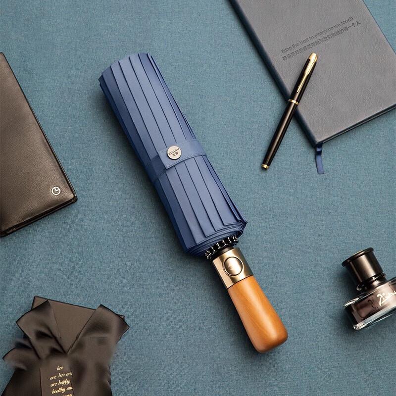 ZUODU Automatic 16-Rib Windproof Folding Umbrella