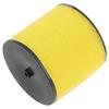 Motorcycle Air Filter For Honda TRX250TM TRX250TE TRX250 TRX 250 Recon FourTrax 250 ES TRX250EX Sportrax 250 EX TRX250X SE 2x4