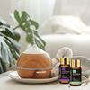 MAYJAM Essential Oil Set Aroma Oil Set Essential Oil Trial Set Massage Oil Gift