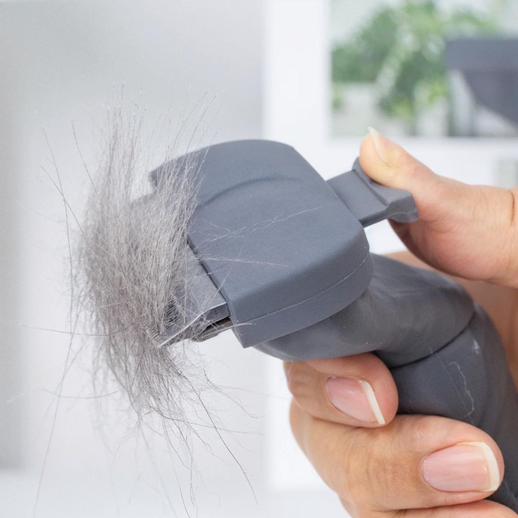 Pet Hair Removal And Grooming Brush And Comb