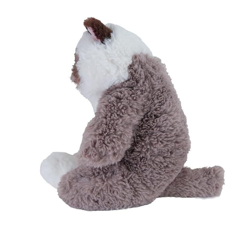 Sun Lemon Lap Cat Good Night Ragdoll GYBR 22×14×47cm Stuffed Toy Animal Cute Cat Cat Greige P-1263