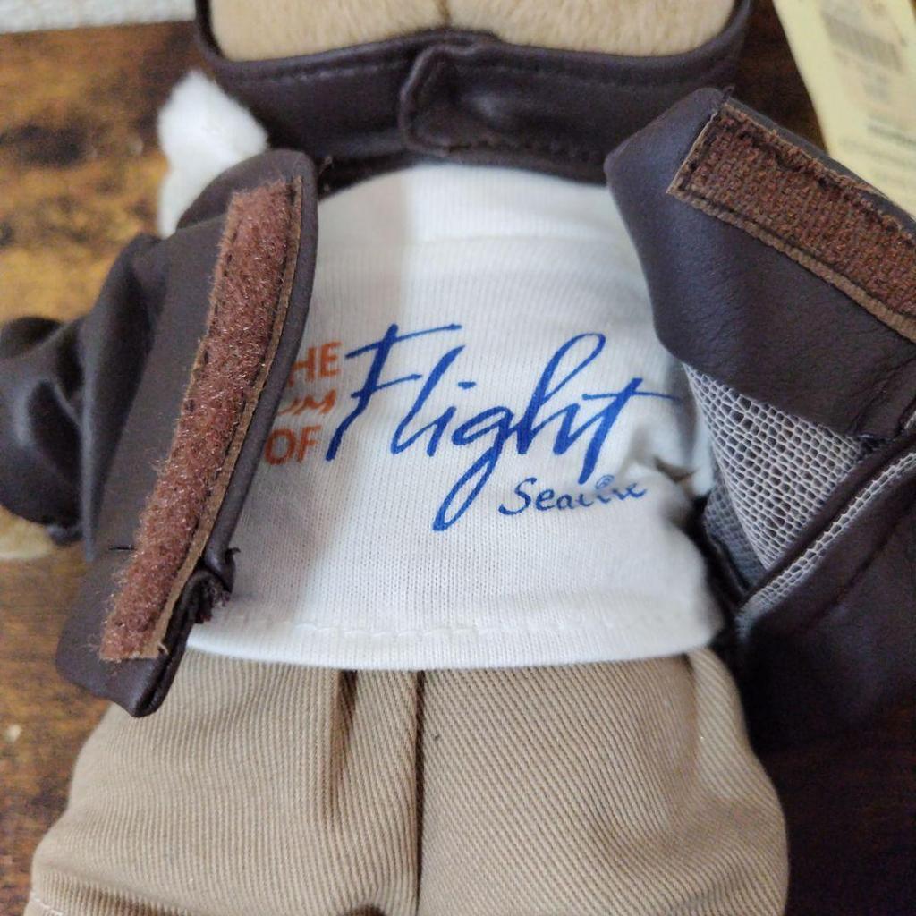 [USED] Pilot Teddy Bear FLY BOY Bear Plush Toy