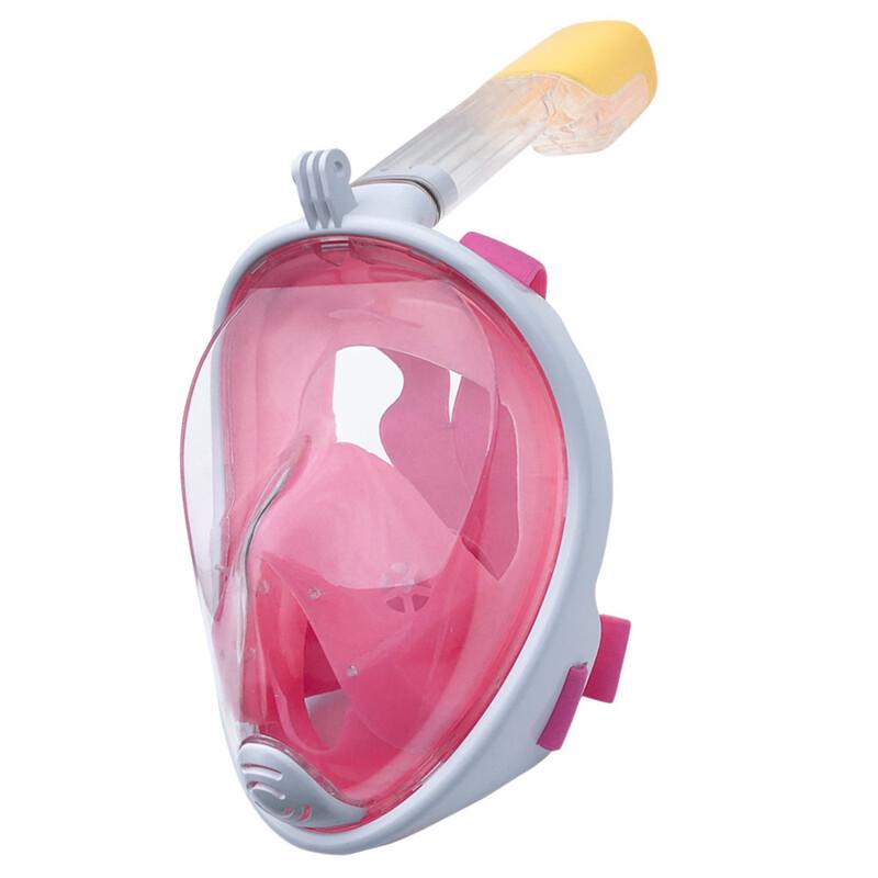 Pulian Full Face Snorkel Mask