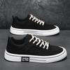 Mens Casual Shoes Autumn New Cloth Lace-up Flat Shoes 2025 New Male Sneakers Luxury Design Canvas Shoes Men Zapatillas Hombre