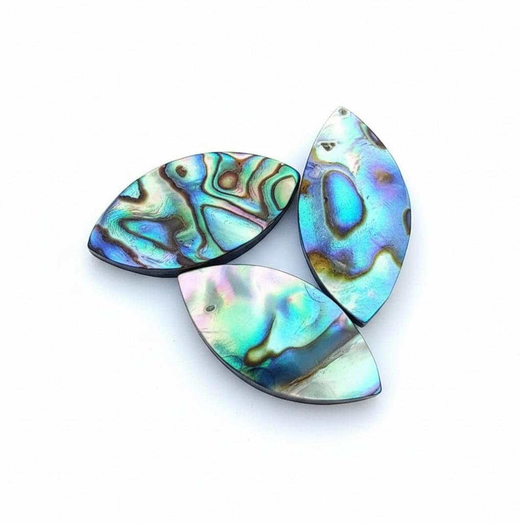 Natürliche Abalone-Muschel Marquise-Cabochons, Regenbogenfarbene irisierende Marquise-Cabochons für Schmuck