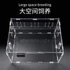 Acrylic Reptile Terrarium Small Pet Habitat Tarantula Gecko Scorpion Beetle Desktop Display Box With Thermometer Option