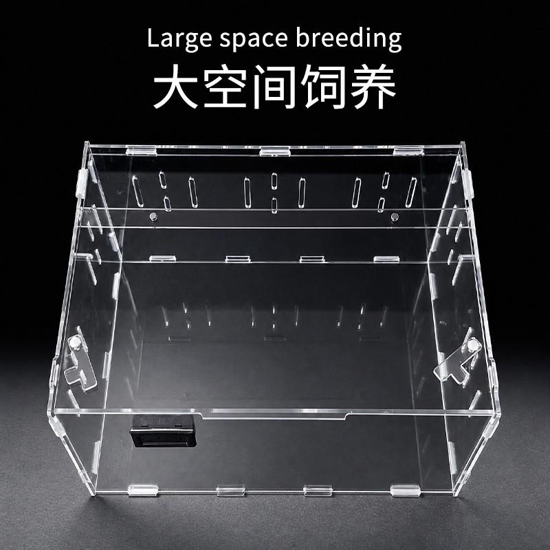 Acrylic Reptile Terrarium Small Pet Habitat Tarantula Gecko Scorpion Beetle Desktop Display Box With Thermometer Option