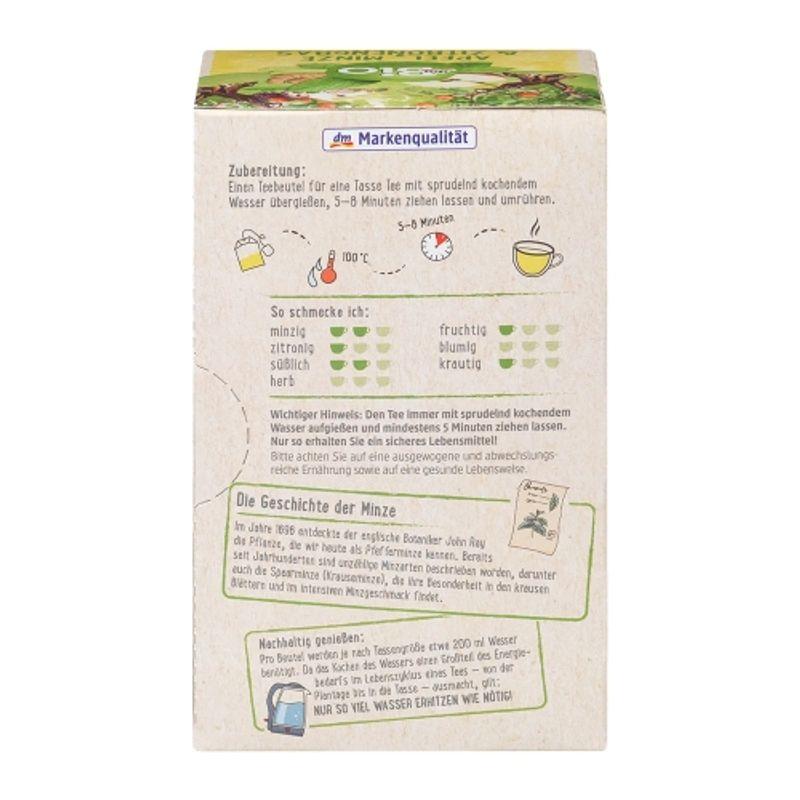 DM Bio Fruit & Herb Tea Apple, Mint & Lemongrass (20 tea bags)