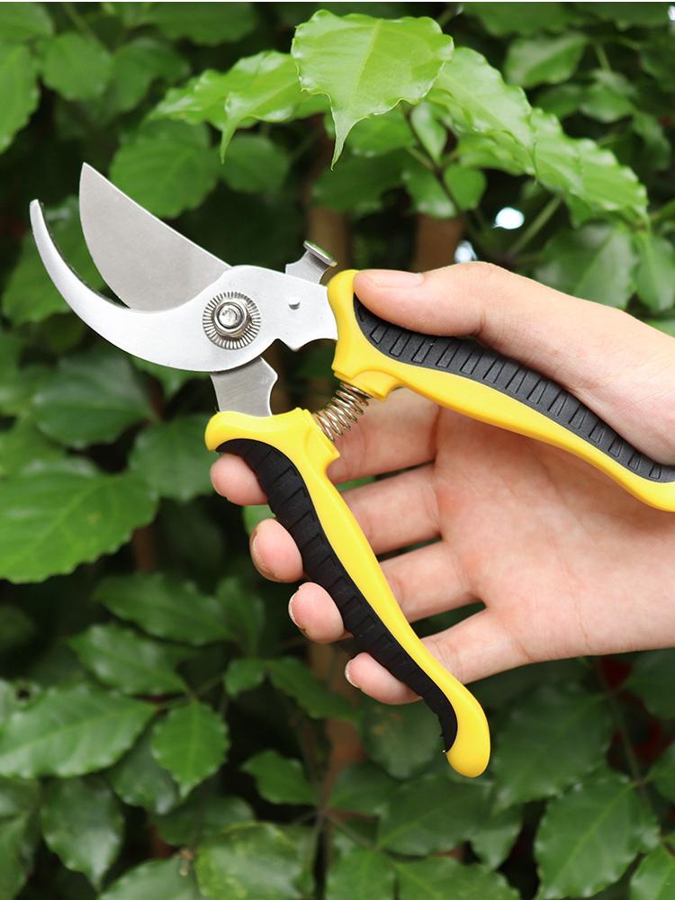Nůžky Zahradní nůžky Profesionální Ostrý Bypass Zahradní nůžky Nůžky na stromy Zahradnické nůžky Ruční nůžky na zahradnické nůžky na zobáky