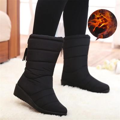 Winter Women Thick Plush Boots Waterproof Winter Snow Ankle Boots Fur Plush Down Warm Shoes Tassel Black Women Booties