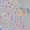 Laser Sliver Star Ocean Dolphin Whale Shoal of Fish Bubbles Sea Marine Organisms Nail Art Sticker Self Adhesive Manicure Decal