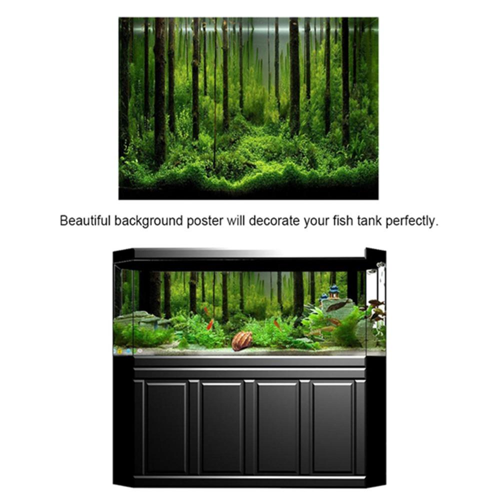 Forest Fish Tank Poster 61*30cm Underwater Forest Poster Beautiful Tank Backdrop  Aquarium