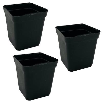 Planting Seedling Home Set of 50 Pots, Pots, Pots, Planters, Gardening, Planting, Succulents, Small, (Square)