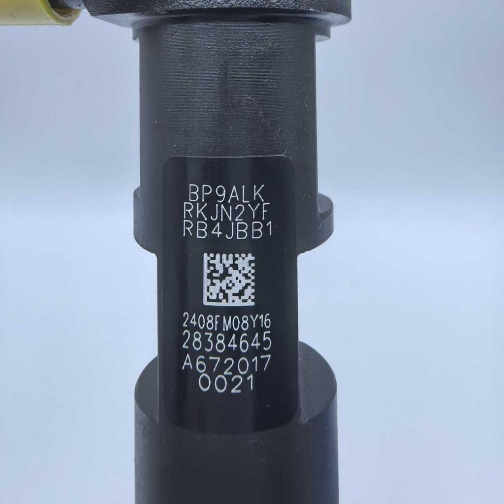 Premium Common Rail Injector 28384645 for Renault Engines