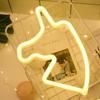 Pailide Outdoor LED Flexible Decorative Lights