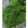 JINGRUIXIANG Artificial Yarn Moss