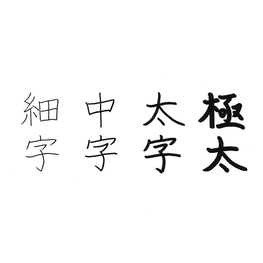 Sakura Writing Felt 2 Pens and 10 Cray-Pas Pens, (Fine Medium), Black, Pens, FK2SM-P(10)