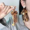 Sweet Temperament Tassel Earrings Ins Style Exaggerated and Atmospheric Earrings for Women